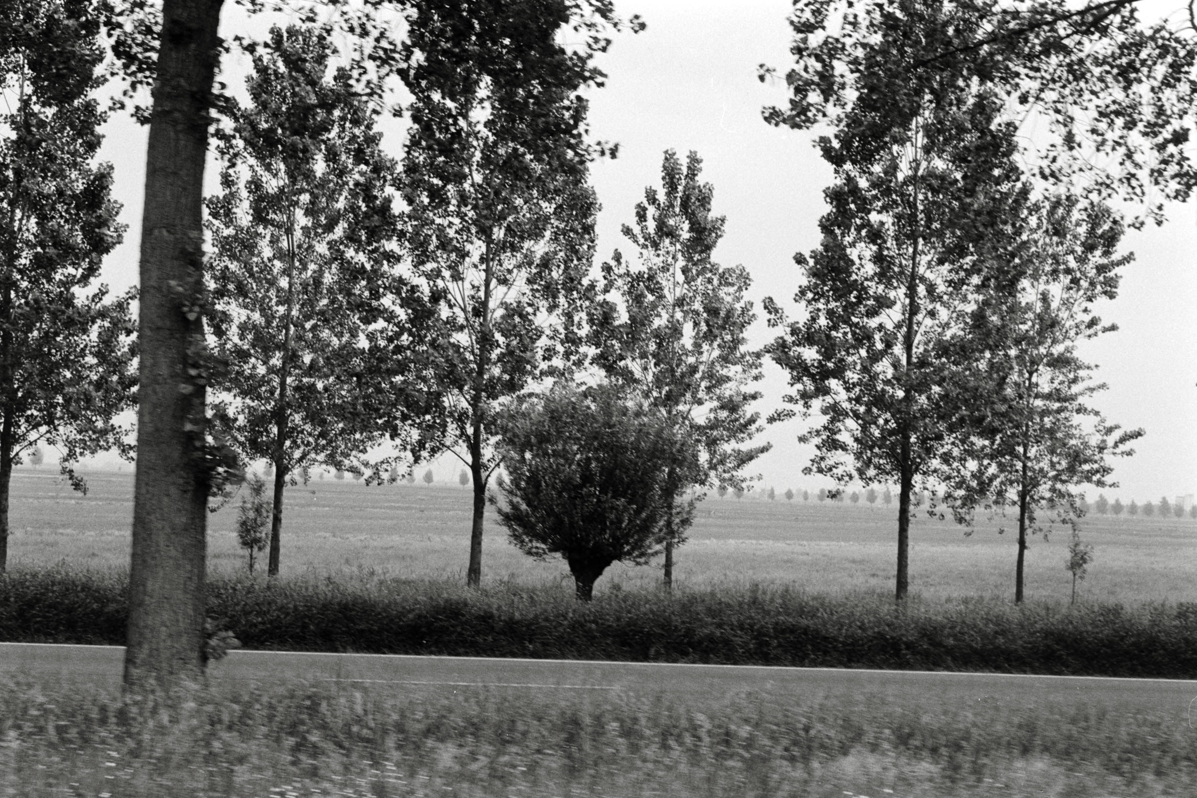 AHP F1992 06 002 sc250507 img25 NLP